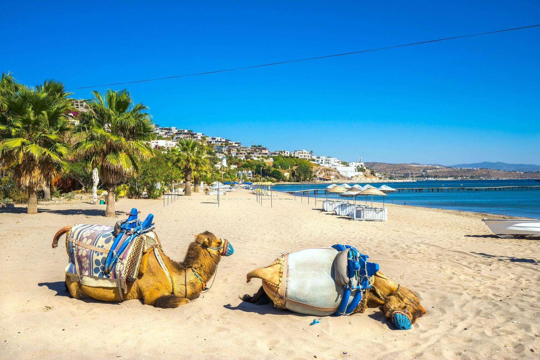 Bodrum - praktický sprievodca mestom, plážami a výletmi v okolí